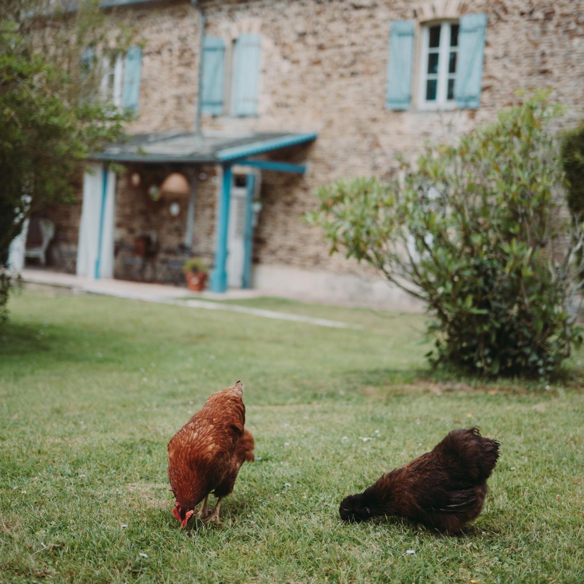 ホテル Domaine De La Fauvriere Sainte-Honorine-de-Ducy エクステリア 写真